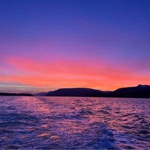 Meet your Posher, Winnie